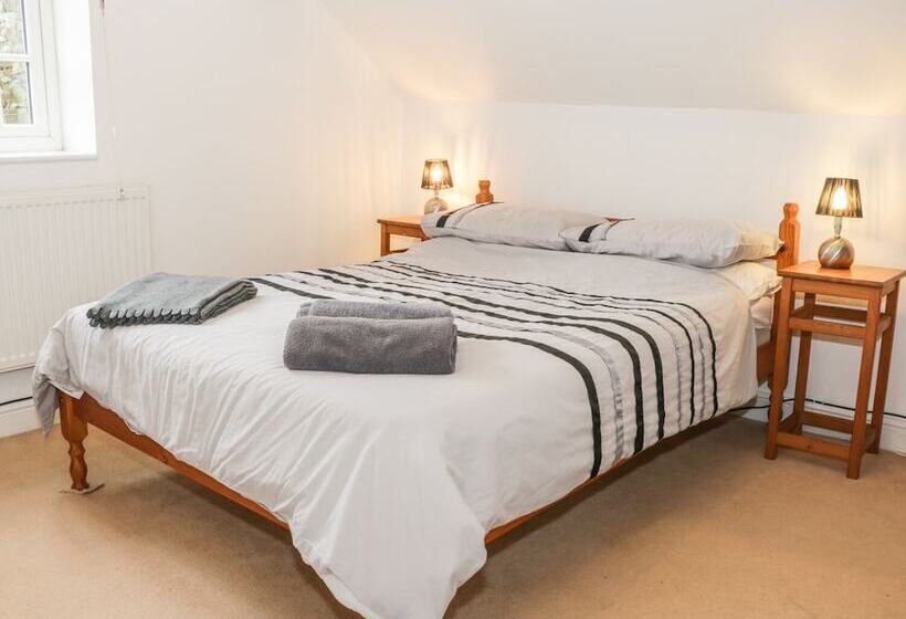 The Old Temperance Hall