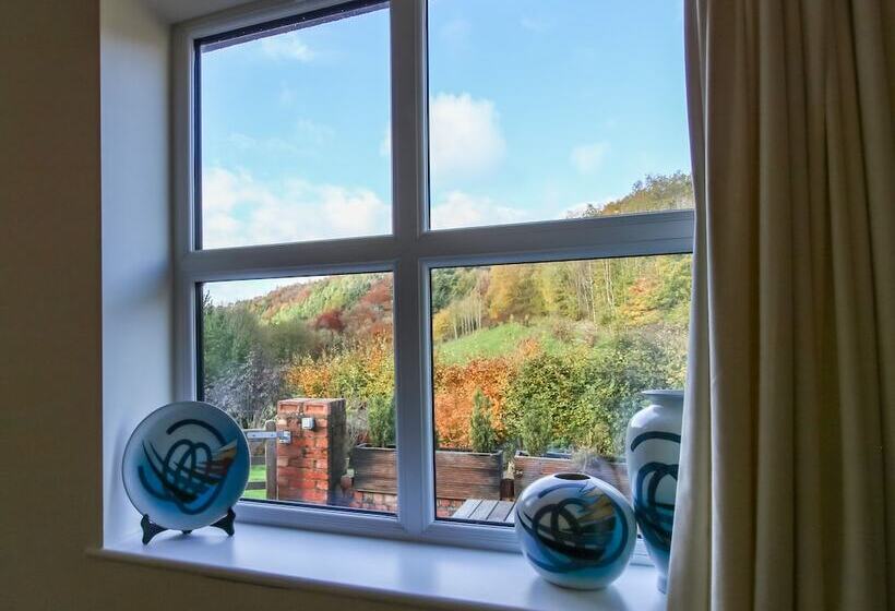 Alyn View