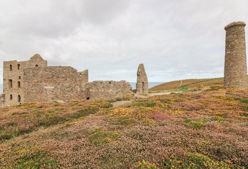 Apartment 1, Trearren