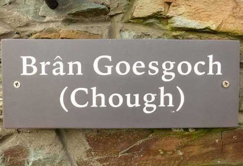 Bran Goesgoch