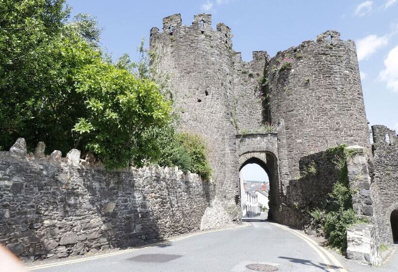 Bryn Derw Holiday Cottage