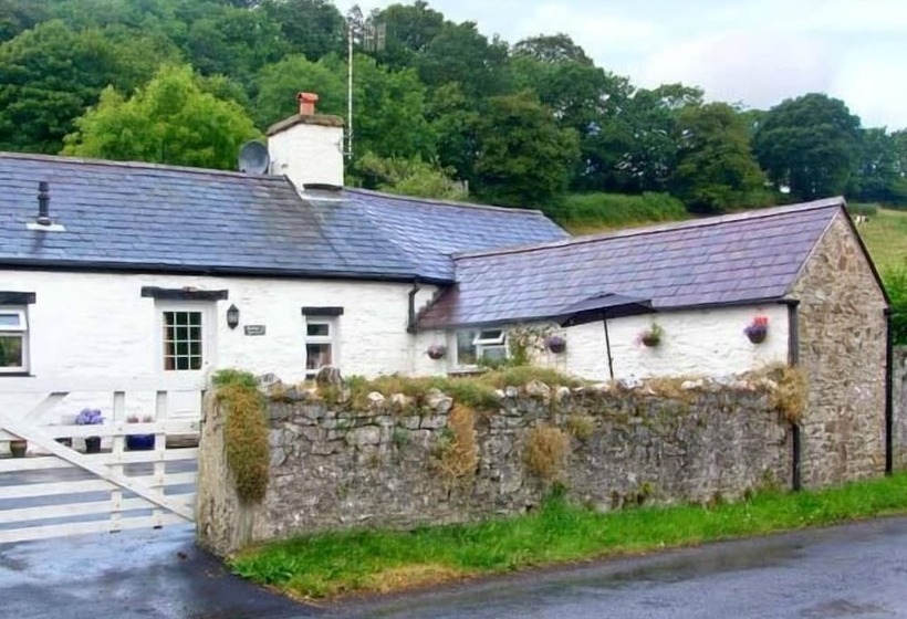 Gorrig Bwthyn