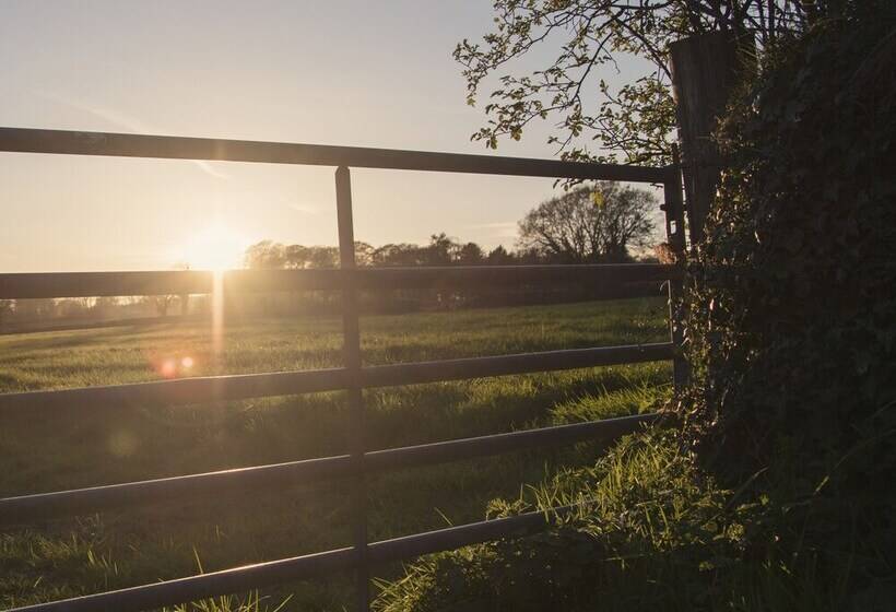 Lloft Gwair   Hayloft