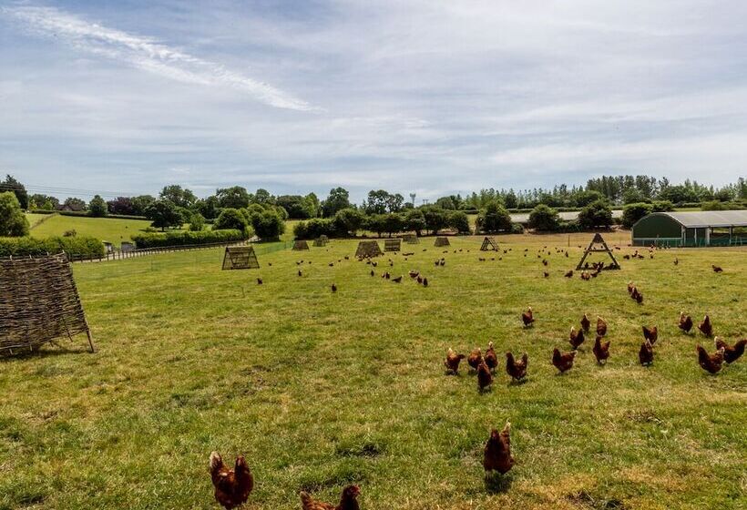 Oxen Cottage @ Nables Farm