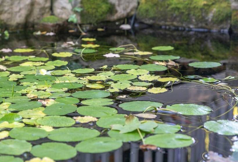 Red Rose Inn Bed & Breakfast