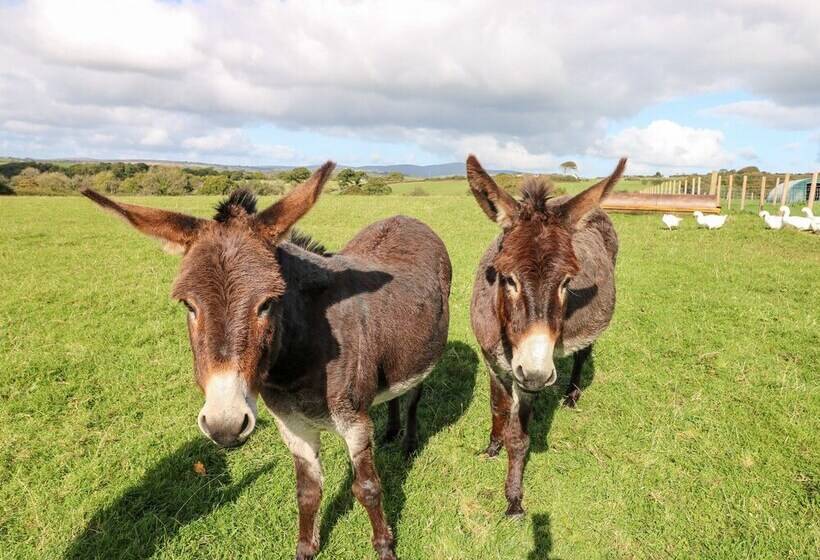 Saddlers Cottage, Berllandeg Farm
