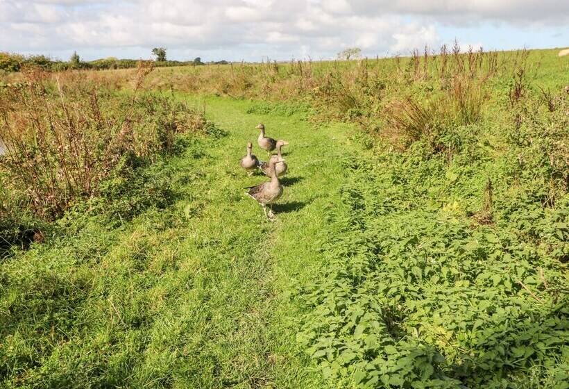 Saddlers Cottage, Berllandeg Farm