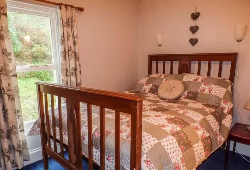 Teifi House