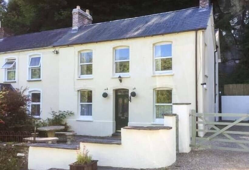 Teifi House