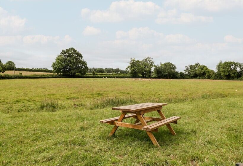 Tippets View