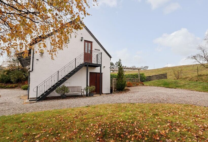 Tyn Y Mynydd Bach