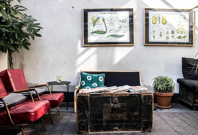 فندق صغير Hello I M Local