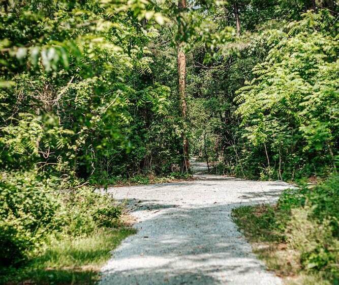 住宿加早餐  Afton Mountain Inn