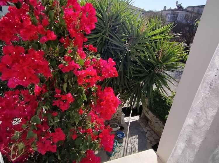 Bed and Breakfast Beyaz Ev Pansiyon