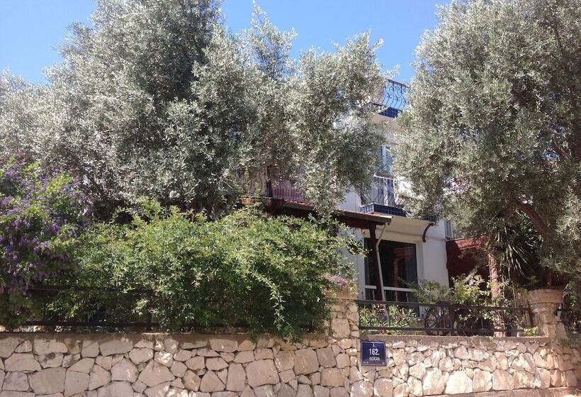 Bed and Breakfast Beyaz Ev Pansiyon