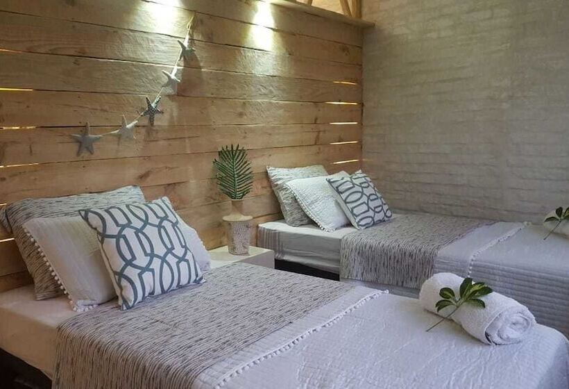 ベッドアンドブレックファースト Bidieen