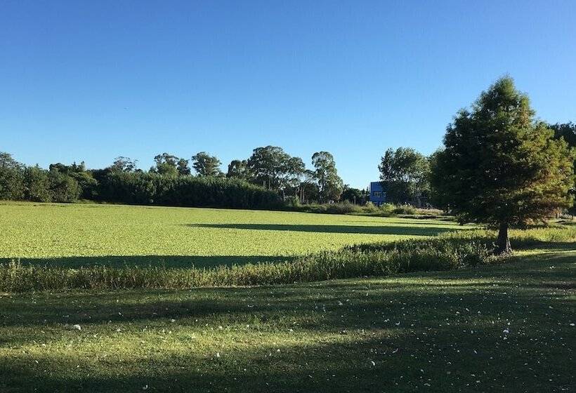 ベッドアンドブレックファースト Bidieen