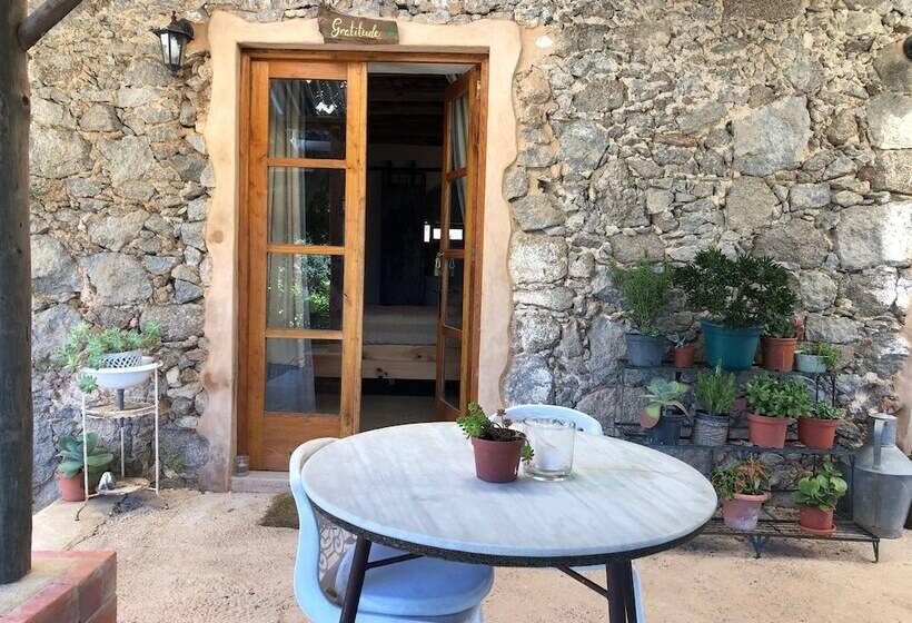 مبيت وإفطار Far Out Oasis