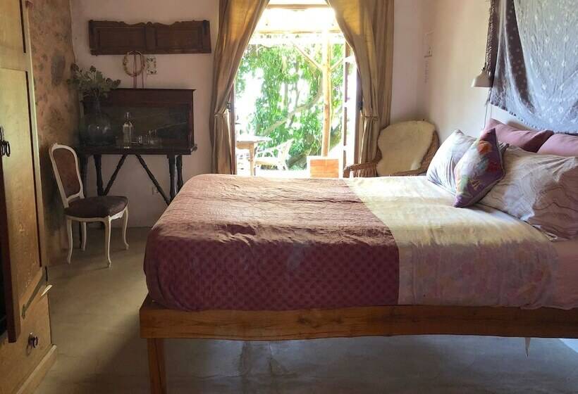 住宿加早餐  Far Out Oasis