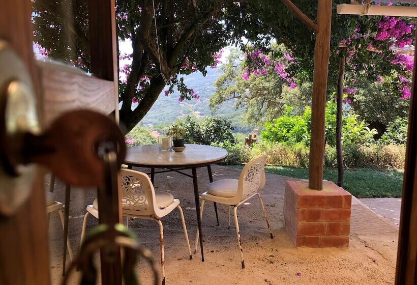 مبيت وإفطار Far Out Oasis