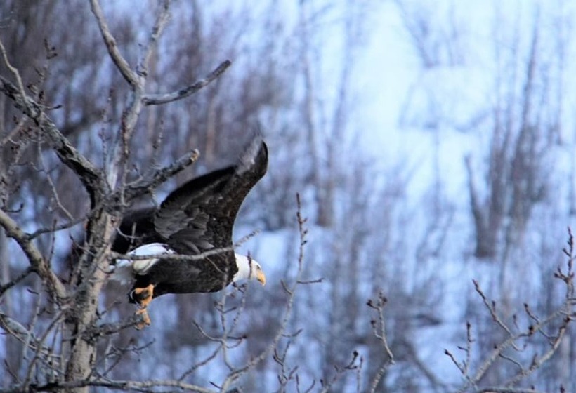 مبيت وإفطار Gateway Overlook