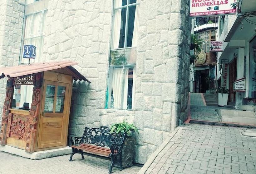 ベッドアンドブレックファースト Hostal Bromelias Inn