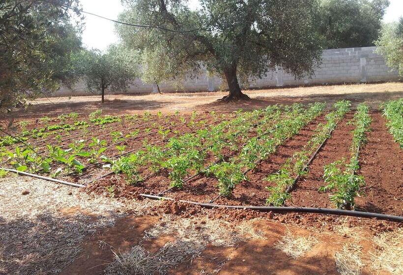 مبيت وإفطار Residence Gli Ulivi