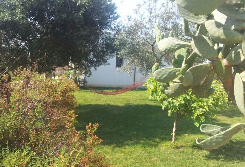 مبيت وإفطار Residence Gli Ulivi