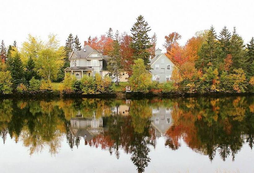 Bed and Breakfast Terra Bella By The Shore