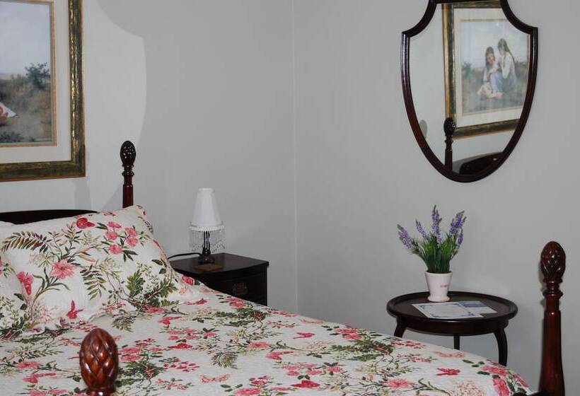 Bed and Breakfast Terra Bella By The Shore