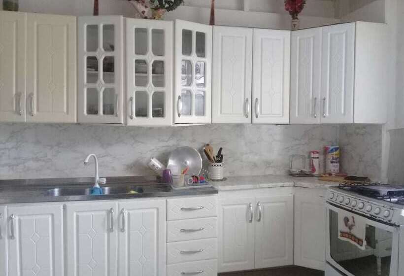 Hostal Los Primos   Hostel