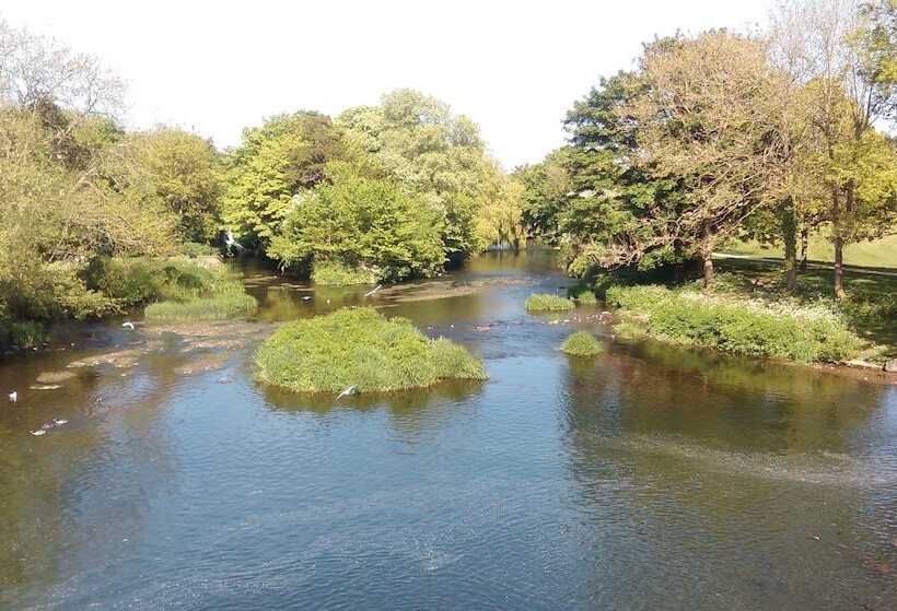 簡易ホテル The Kings Arms