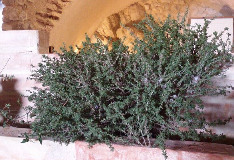 هتل Altea Suite Vault