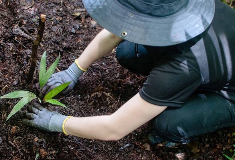 هتل Amazon Field Station Byinkaterra