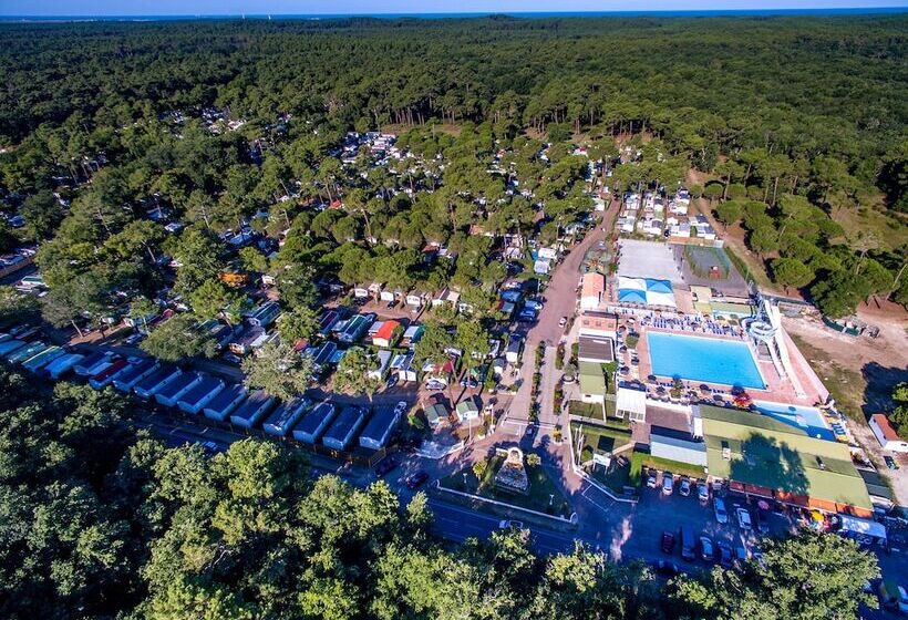 Отель Camping La Palmyre Estanquet