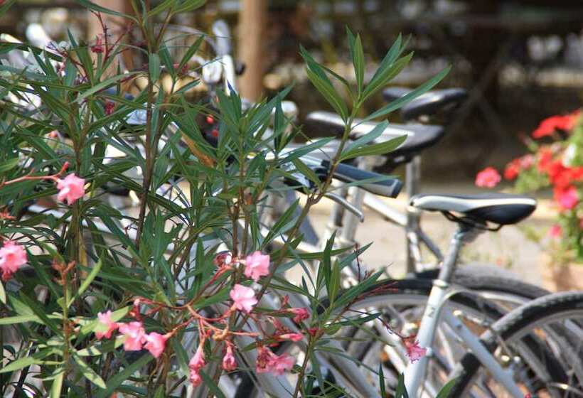 酒店 Camping L'art De Vivre