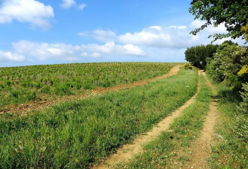 酒店 Camping L'art De Vivre