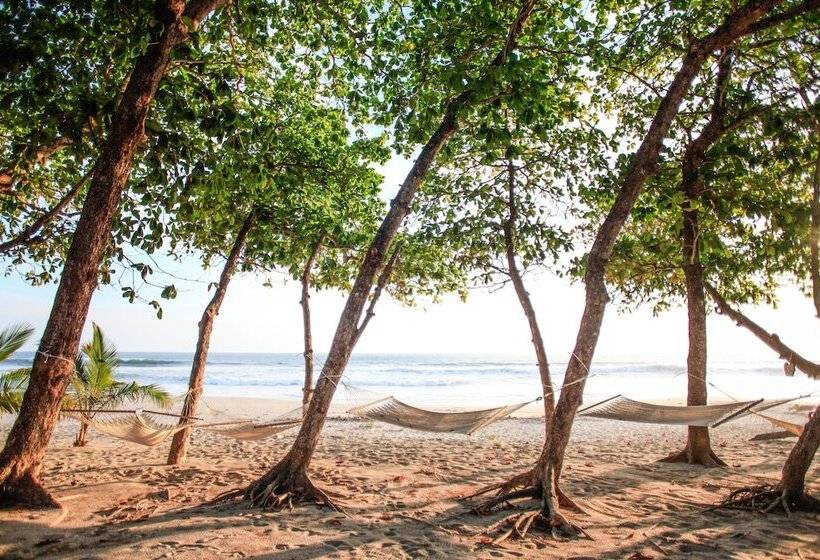 בית מלון כפרי Casa Cecilia Beach Front