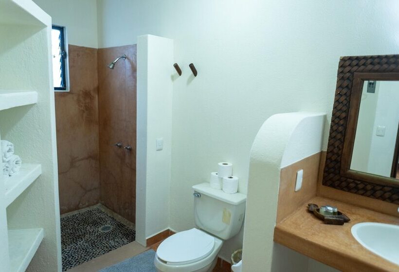 فندق Casa Manzanillo Boutique