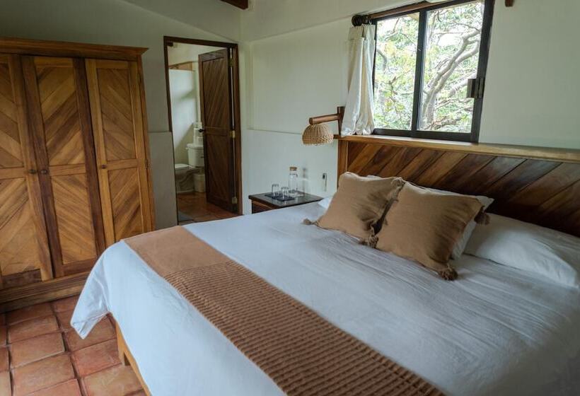 فندق Casa Manzanillo Boutique