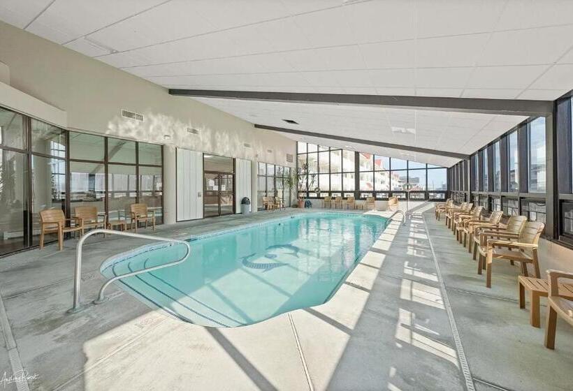 酒店 Desert Sand Resort