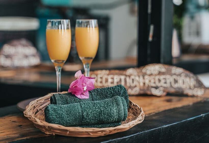 Отель Drift Away Lodge