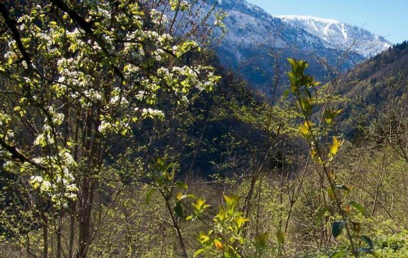 ホテル Ekodanitap Natural Life