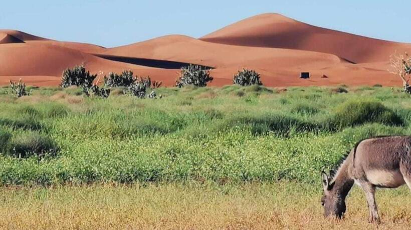 هتل Erg Chegaga Desert Camp