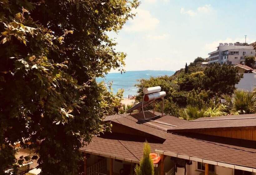 בית מלון כפרי Erkin Beach Club