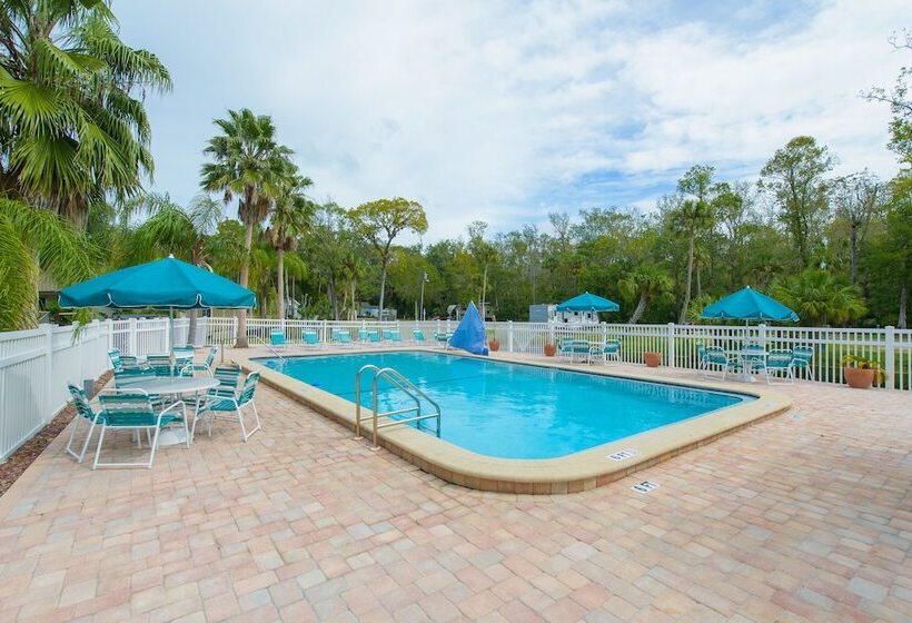 فندق Homosassa River Rv Resort
