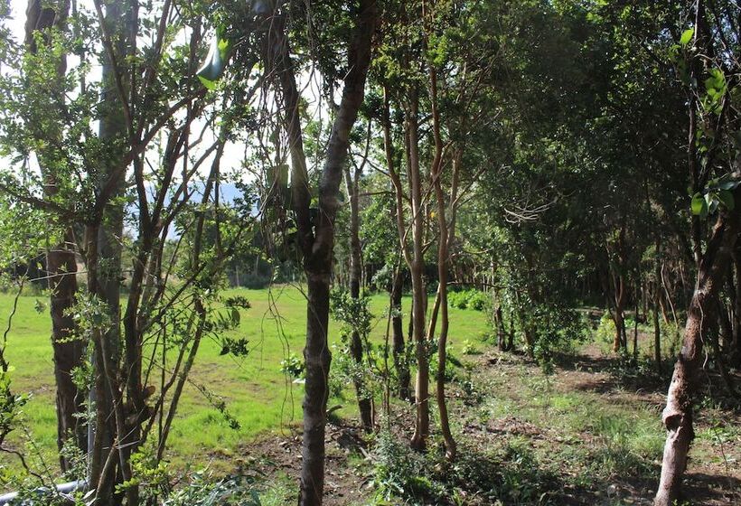 فندق Huillín Lodge