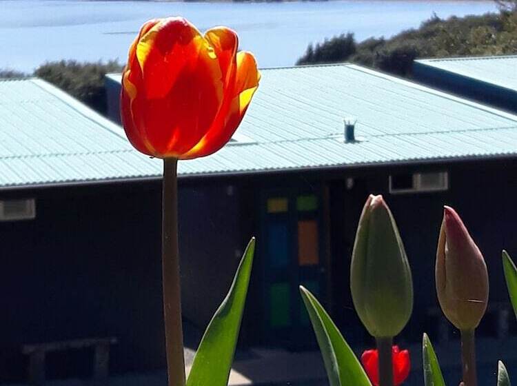 فندق Huillín Lodge