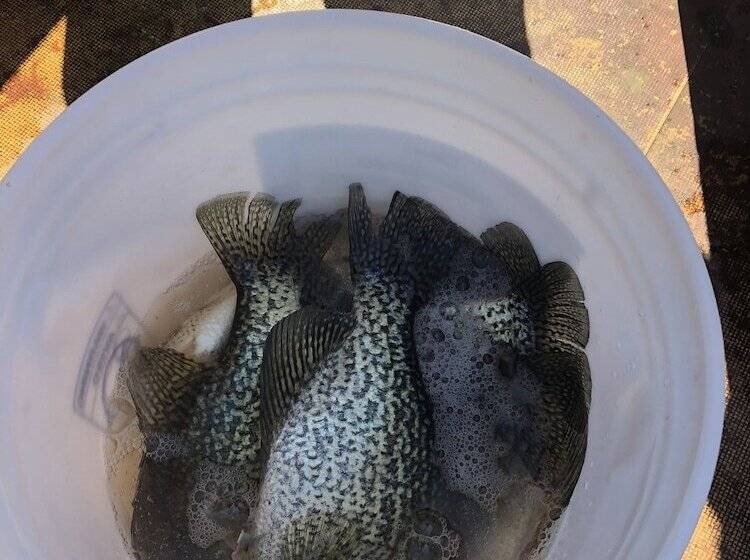 호텔 Indian Beach Resort