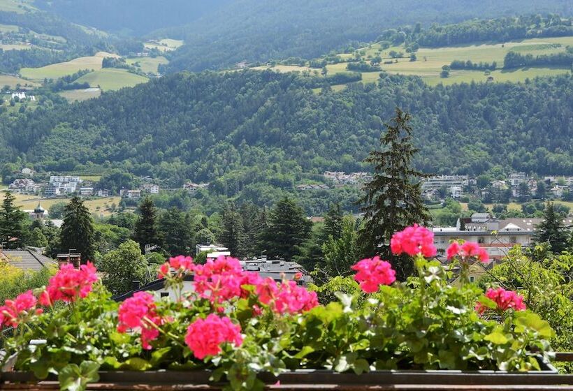 בית מלון כפרי Jarolim